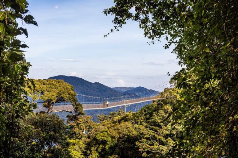 Reward Beyond Money: Why Travel is the New Bonus