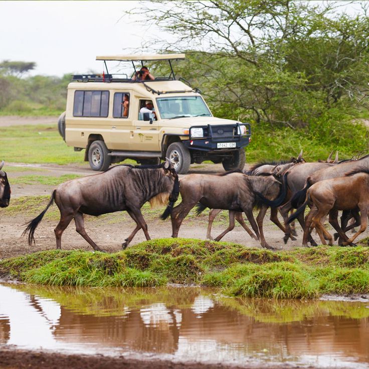  East African Retreat Destinations Perfect for Your Next Corporate Offsite